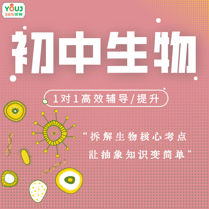 初中生物辅导/提升